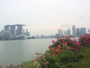 Read more about the article Hướng dẫn cài đặt WordPress