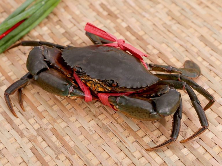 Read more about the article Lợi Ích Và Lưu Ý Khi Thưởng Thức Cua biển