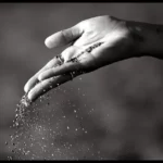 Cuộc Đời là những chuyến đi